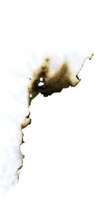 Burnt 6 extended WEB