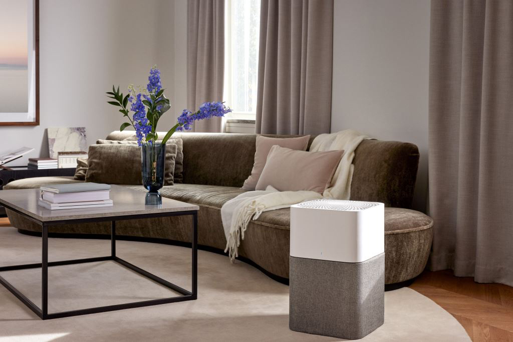Why are air purifiers essential for DIY?