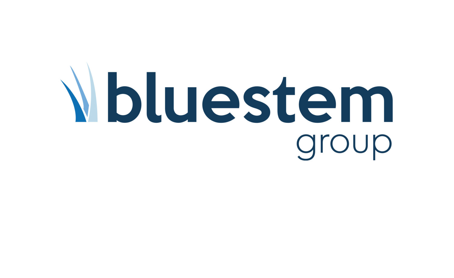 Bluestem Group partners with De’Longhi, Kenwood and Braun