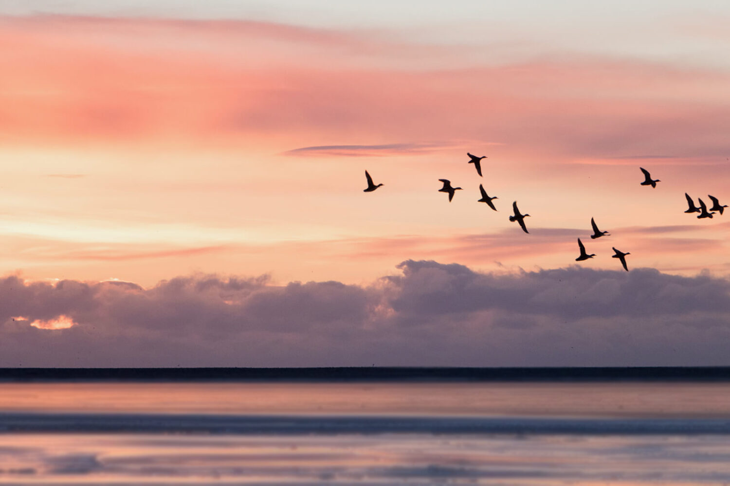 Colleagues remember Paul Smith