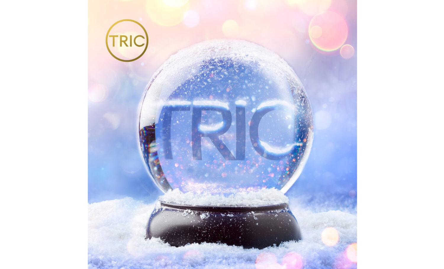 TRIC launches online auction to raise money for charity