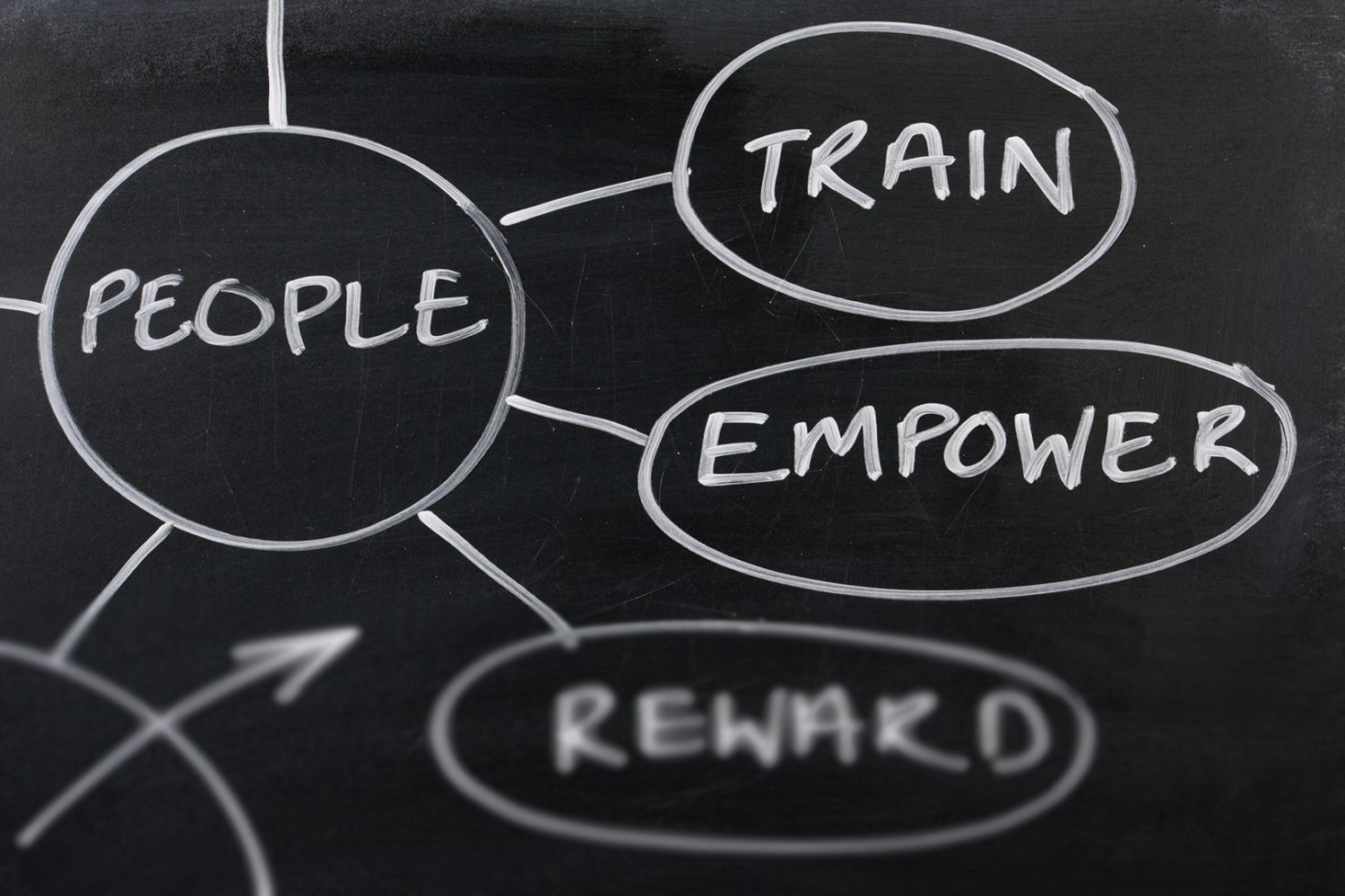 Curating the customer journey through training