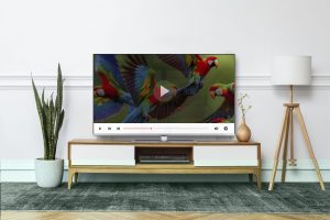 contemporary living room with blue carpet